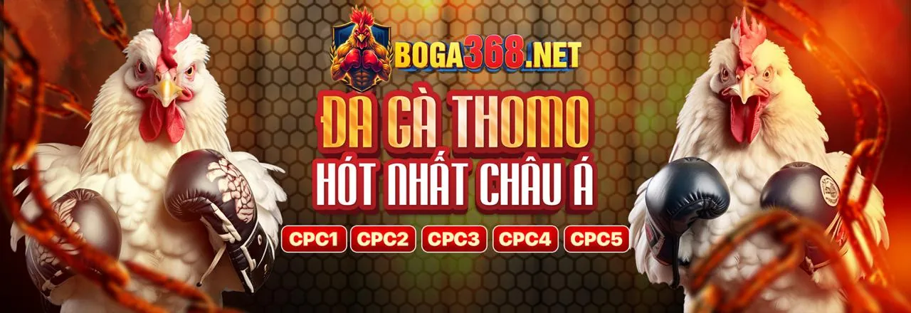 Đá gà trực tuyến lucky8882 chính thức